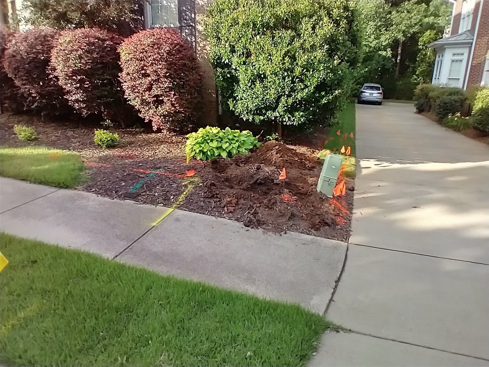 Before stump grinding in Five Forks SC