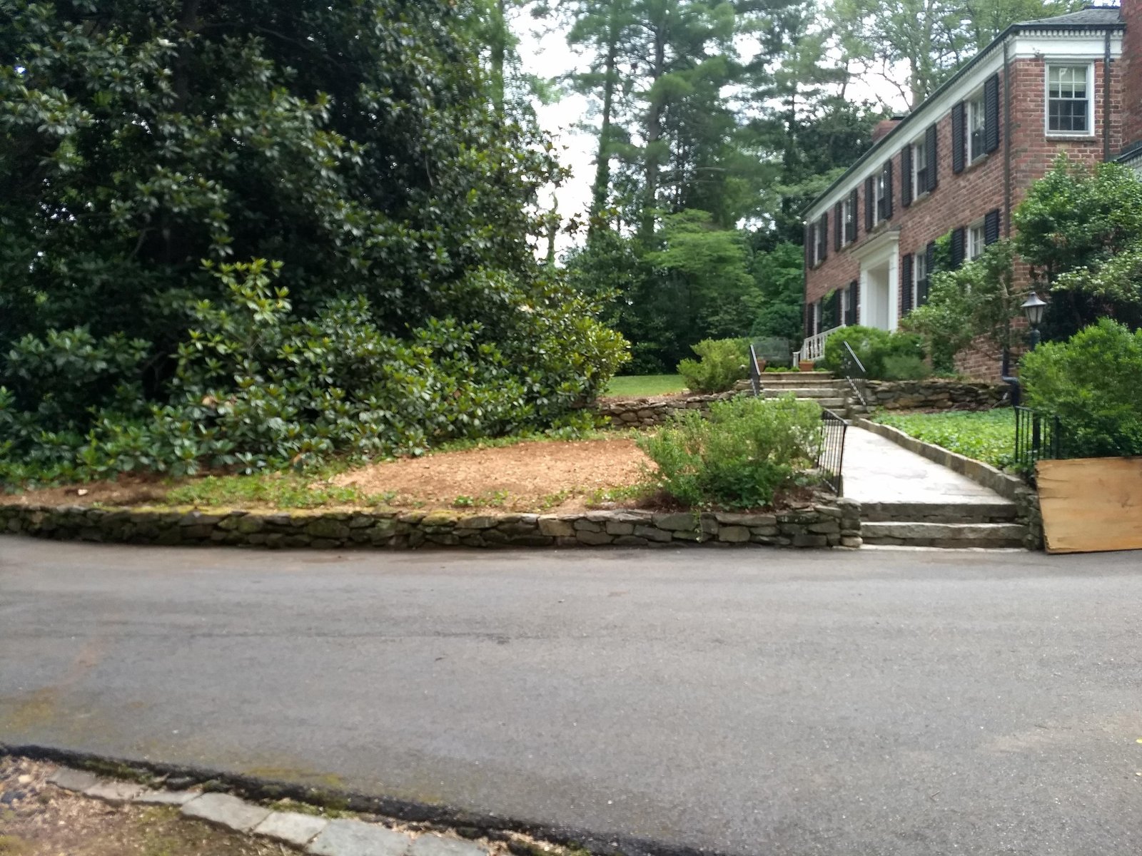 After stump grinding project 1