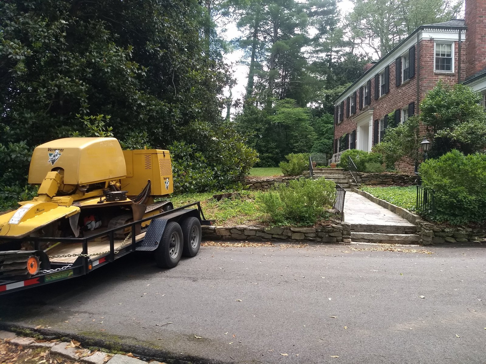 Before stump grinding project 1