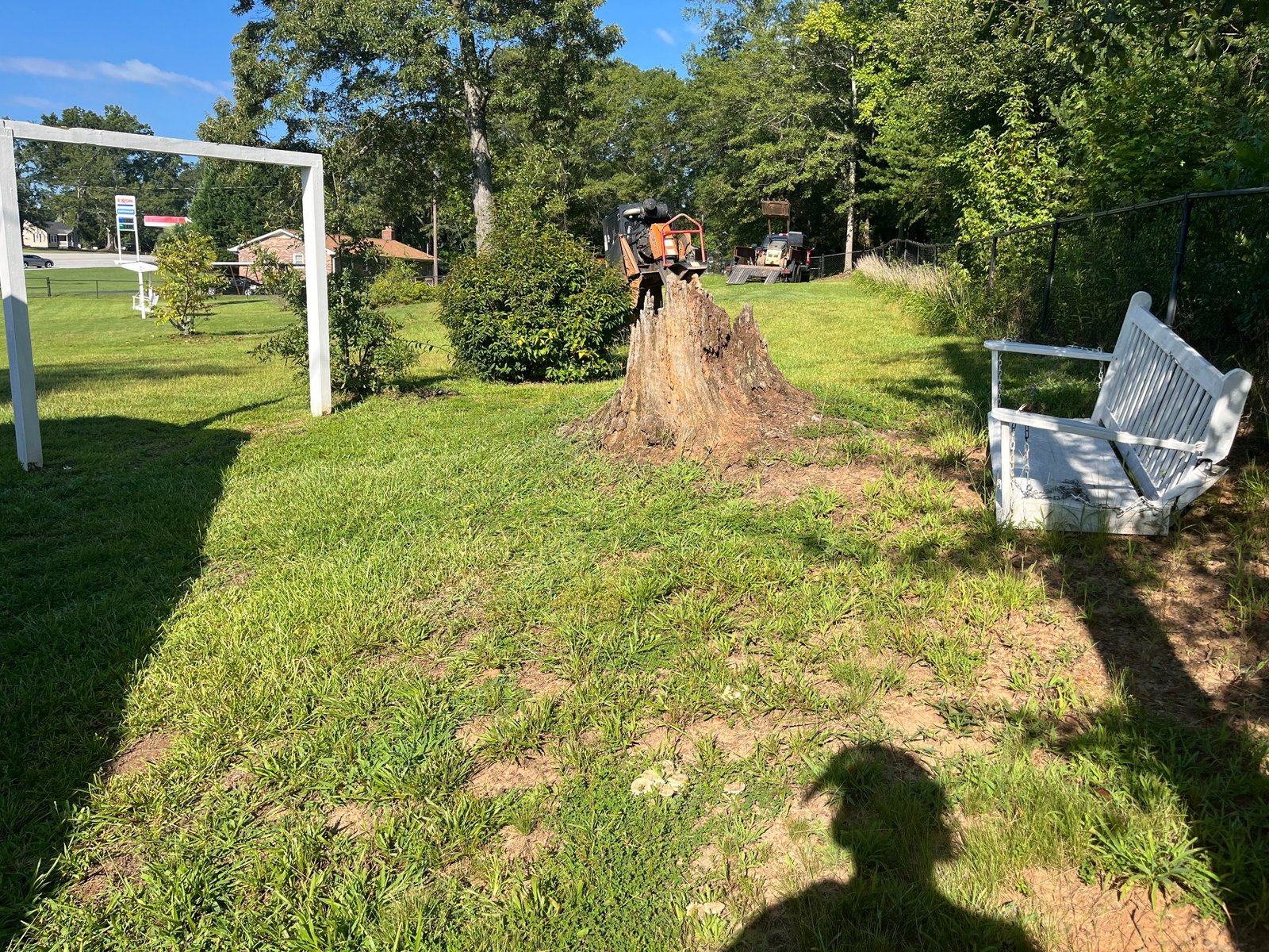 Before stump grinding project 10