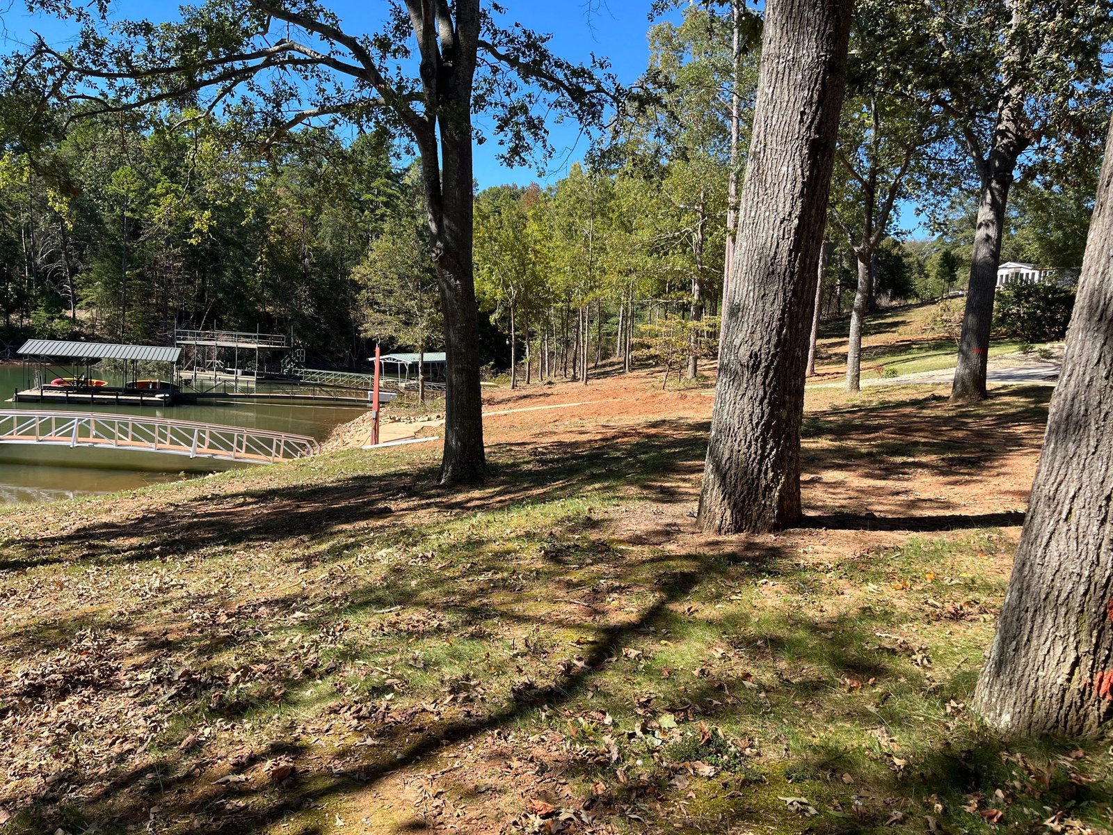 After stump grinding project 12