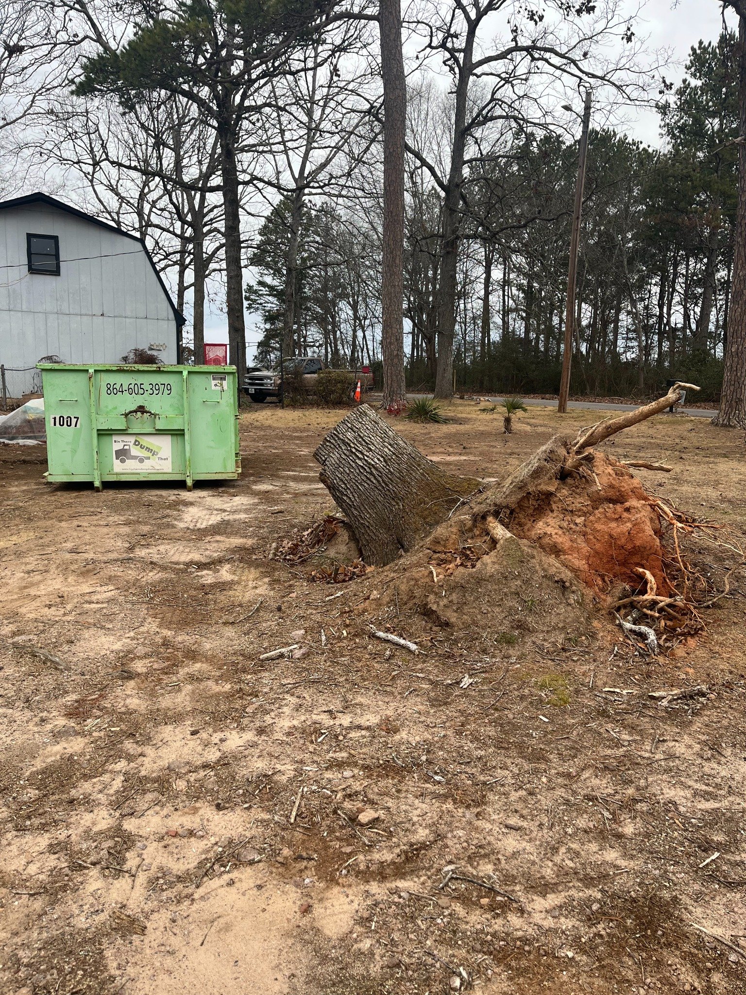 Before stump grinding project 15