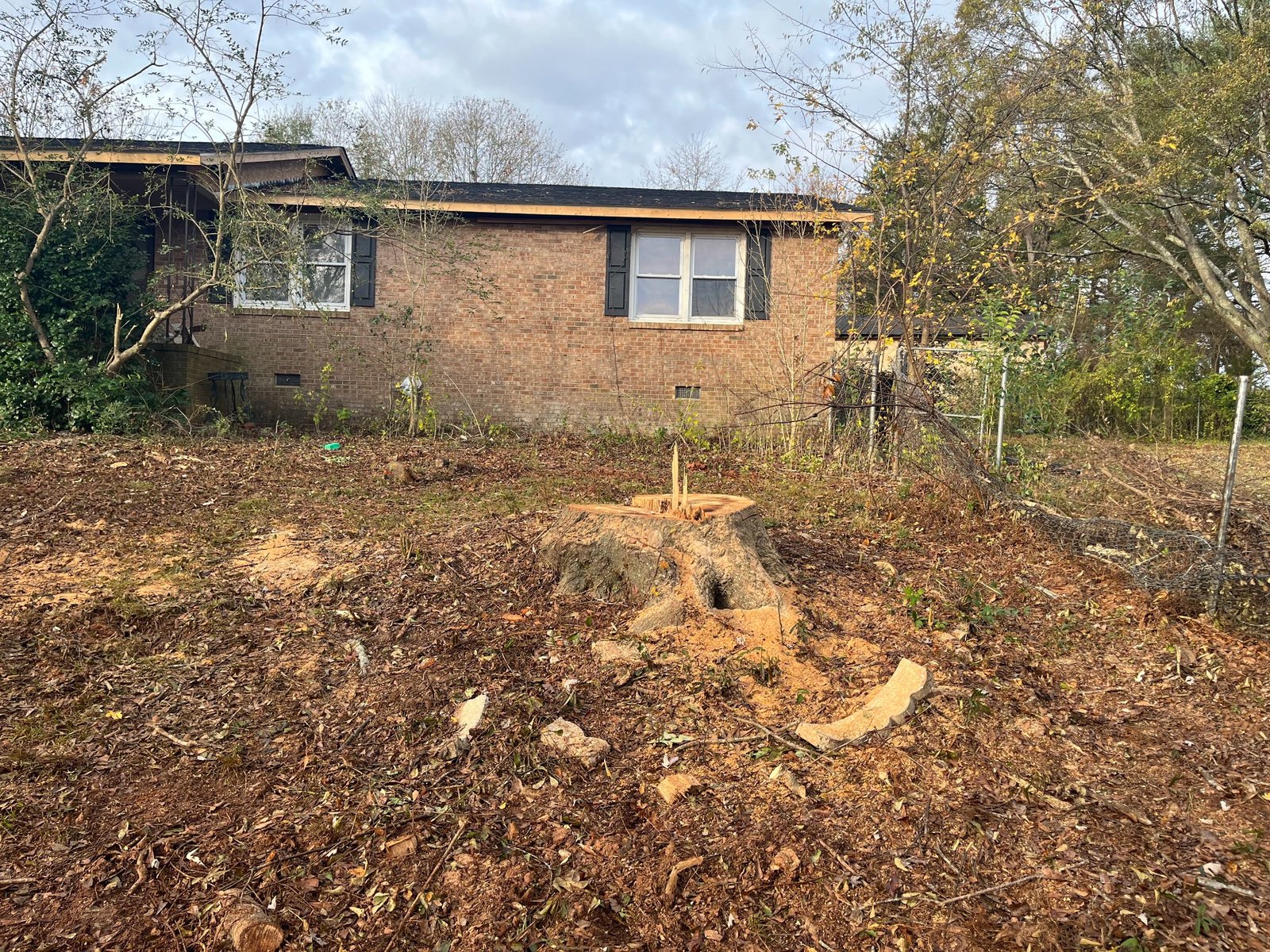 Before stump grinding project 17