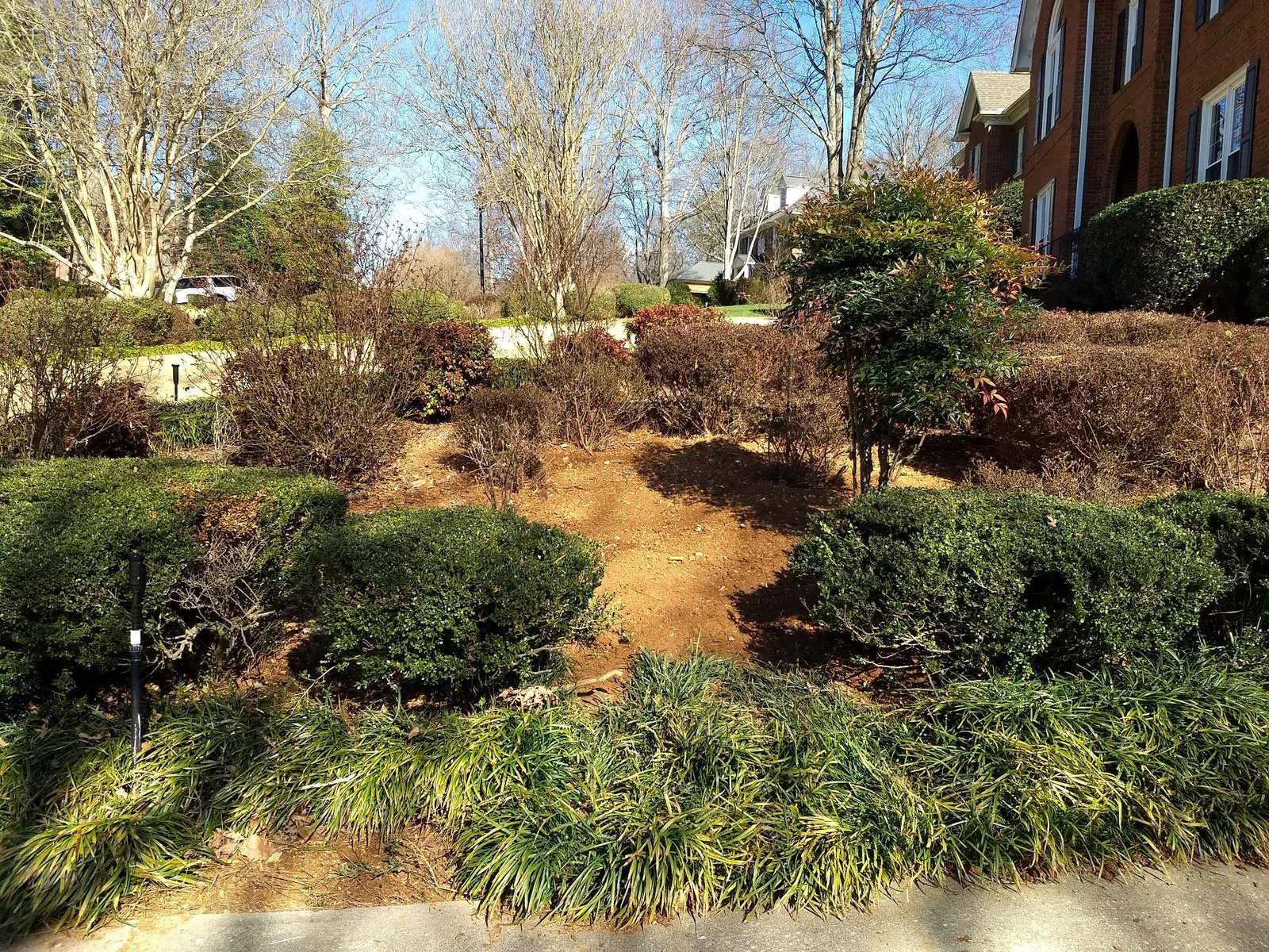 After stump grinding project 2