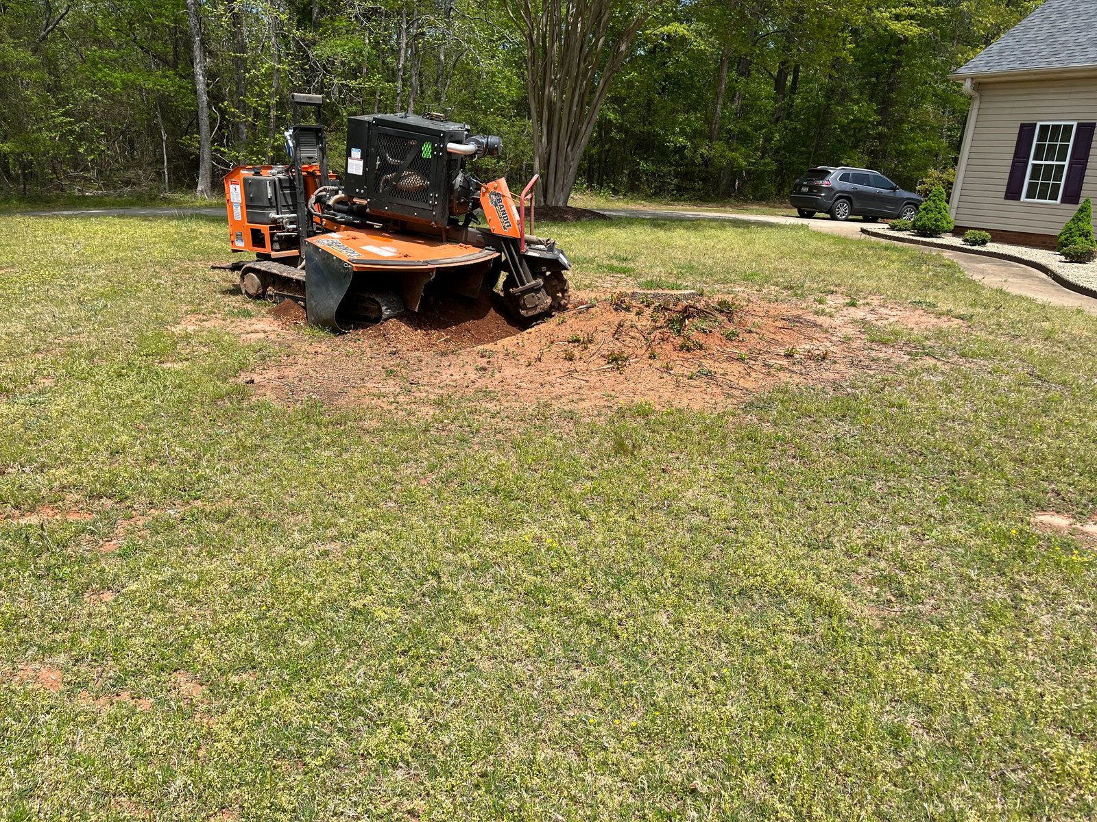 Before stump grinding project 3