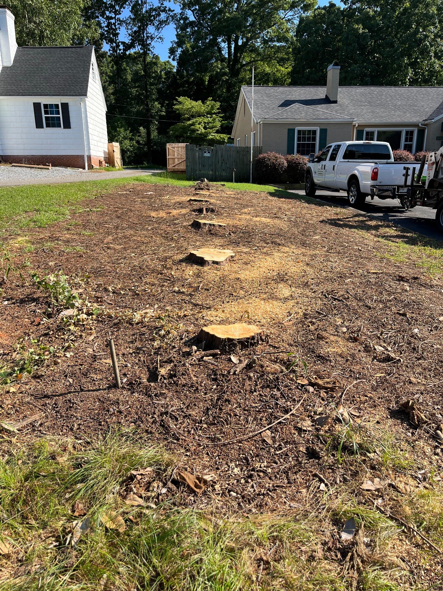 Before stump grinding project 4