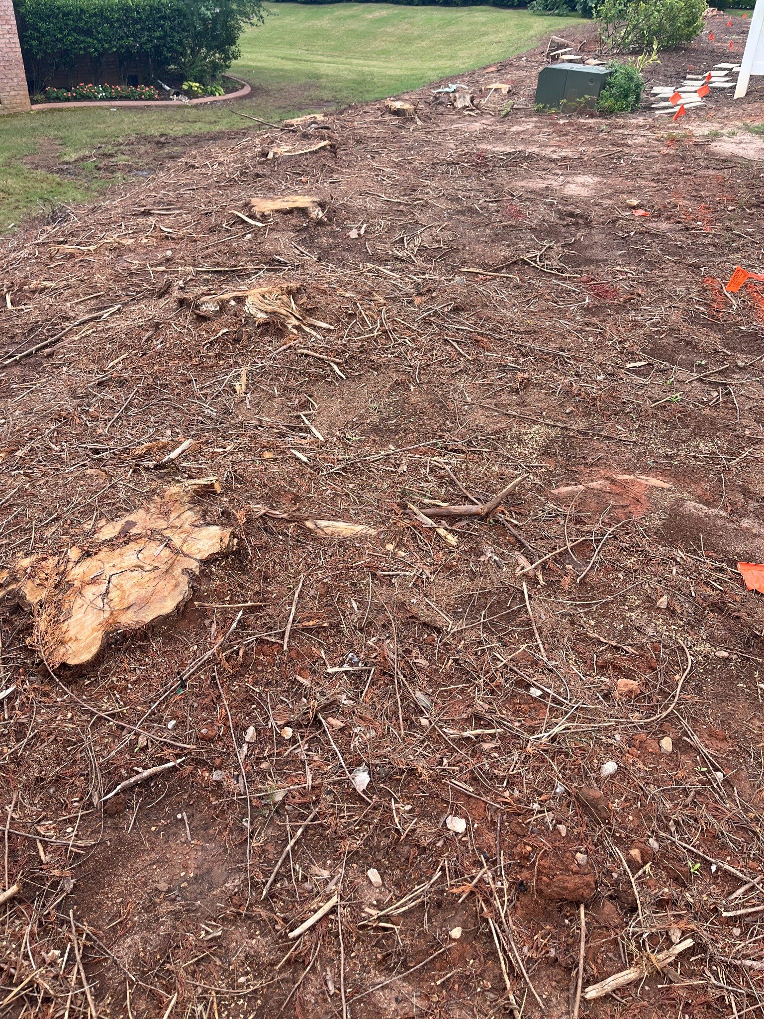 Before stump grinding project 6