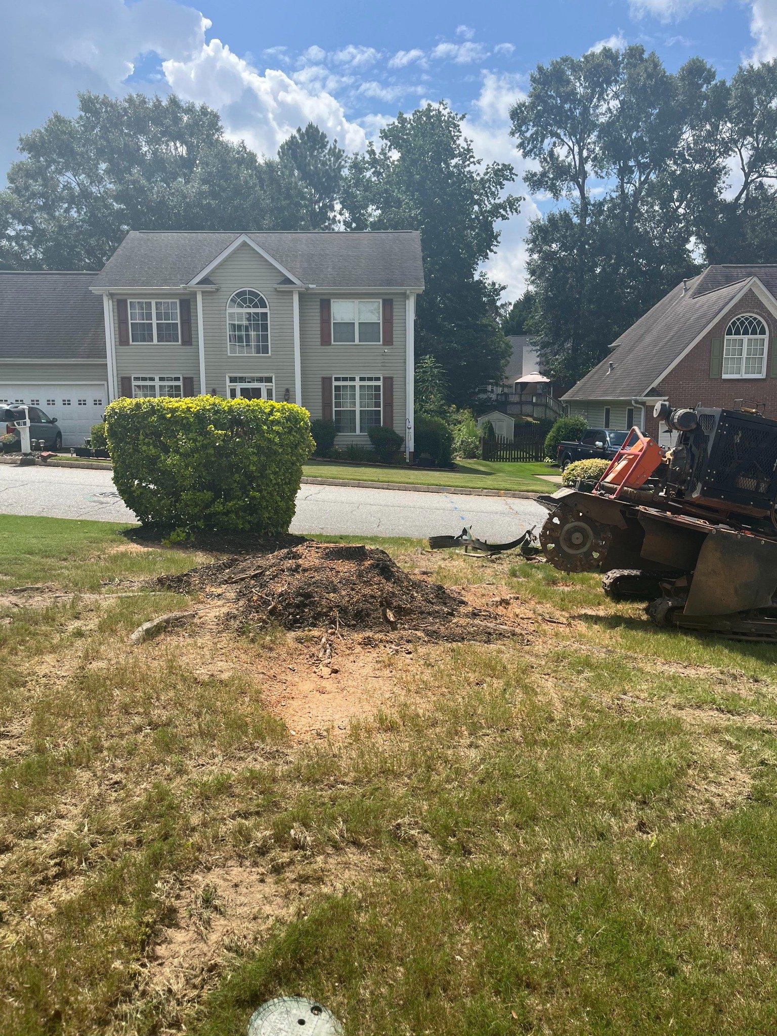 Before stump grinding project 7