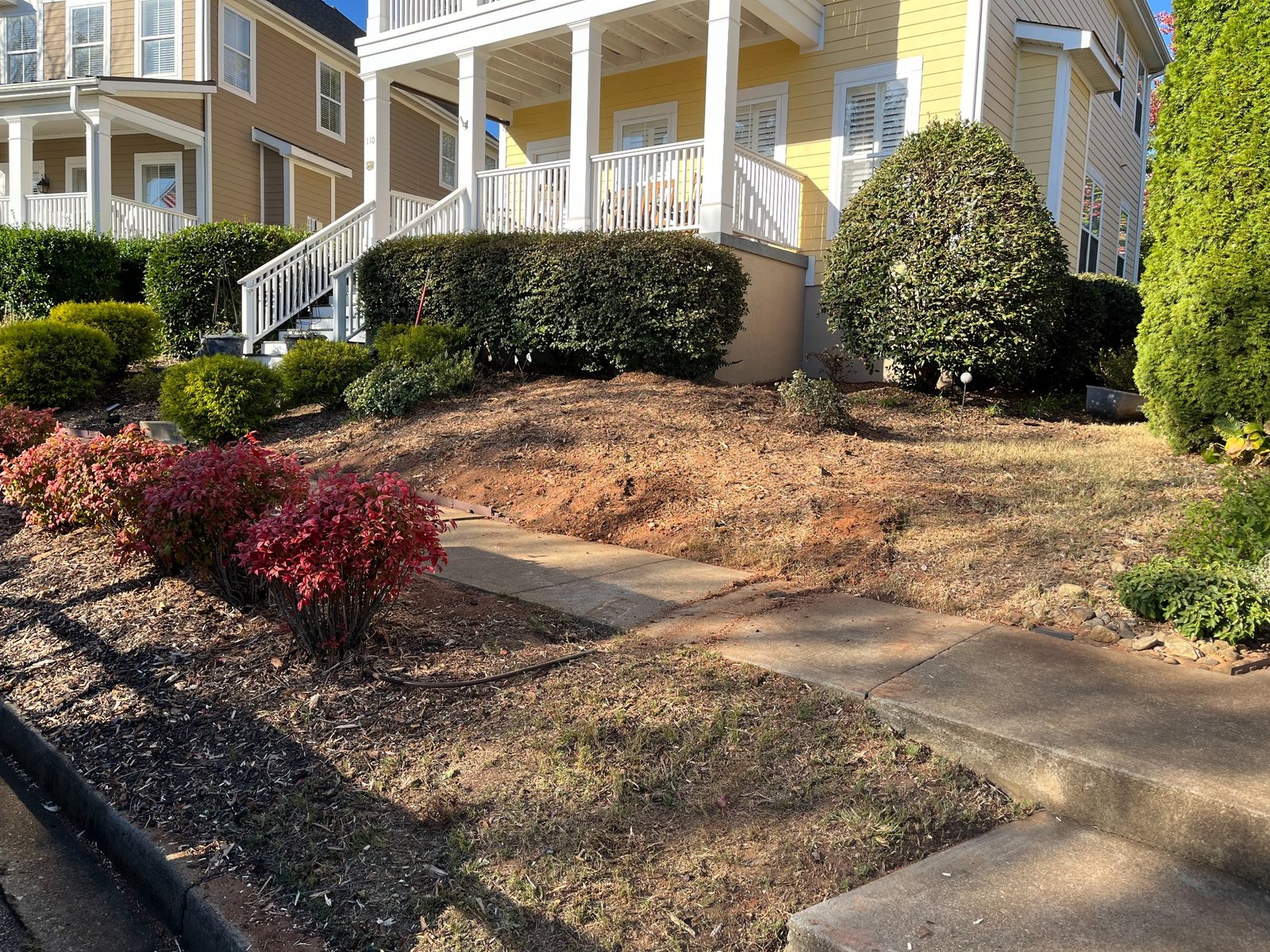 After stump grinding in Greer SC