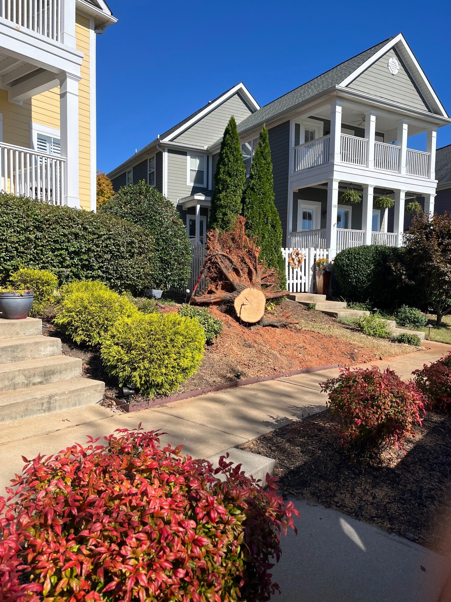 Before stump grinding in Greer SC