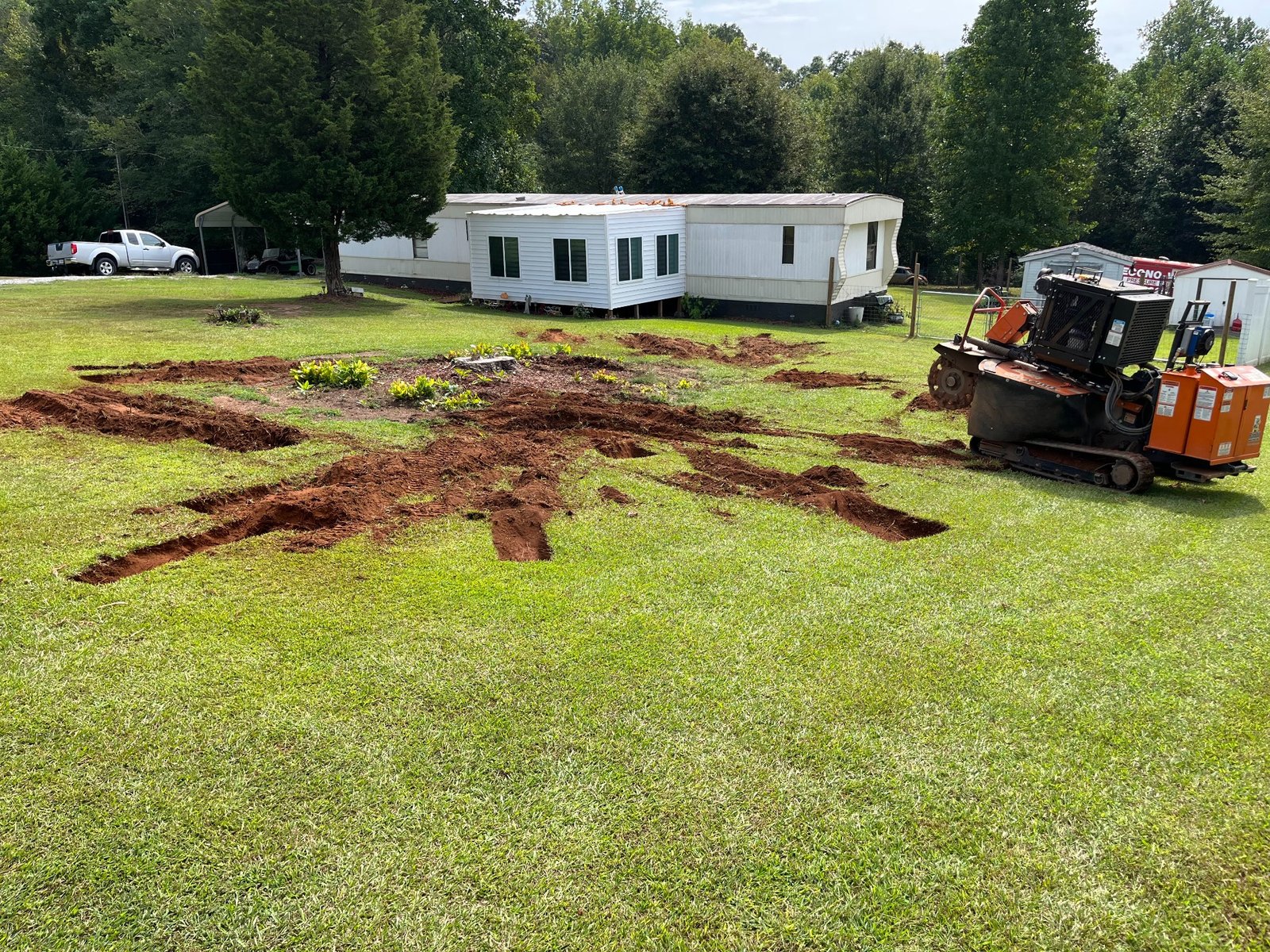 Before stump grinding in Inman SC