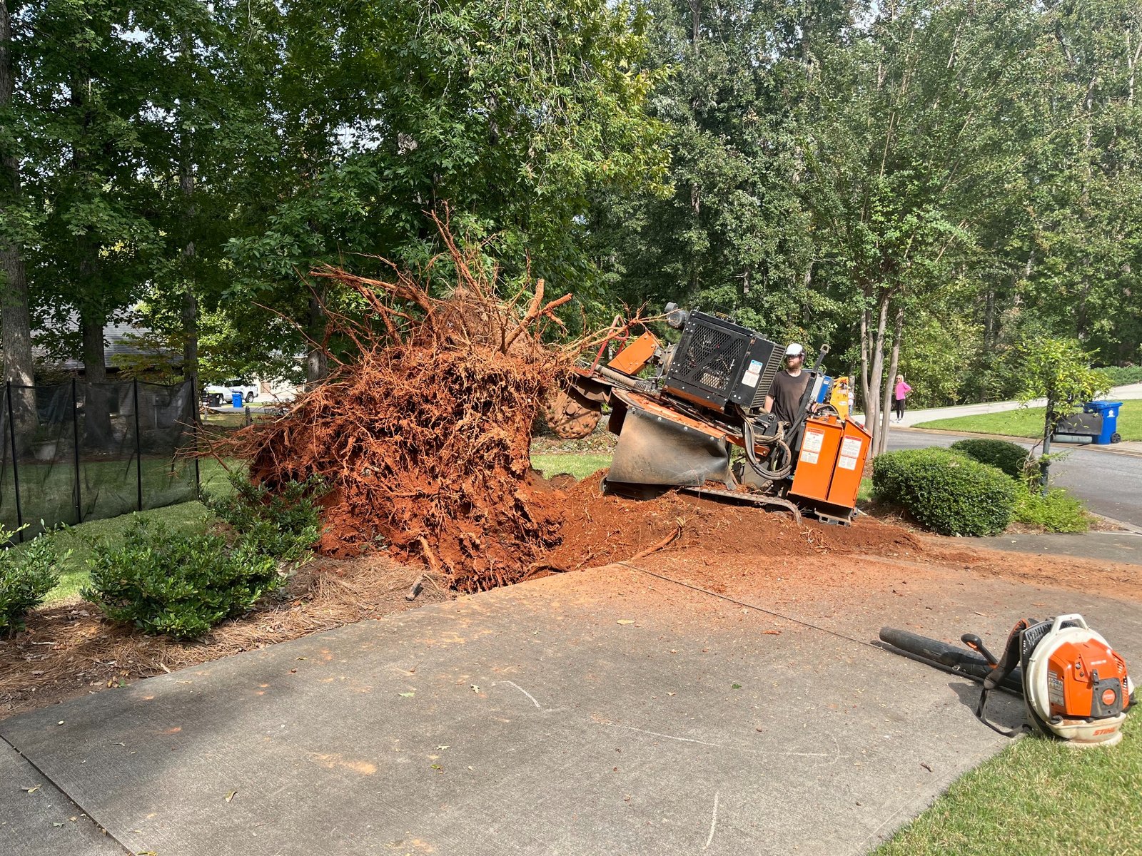 Before stump grinding in Mauldin SC