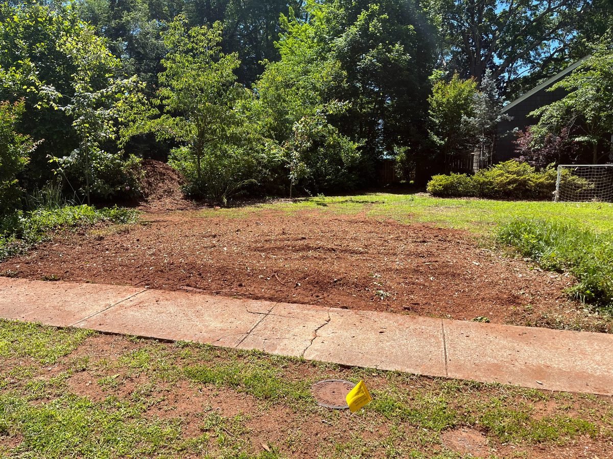 After stump grinding in Greenville SC