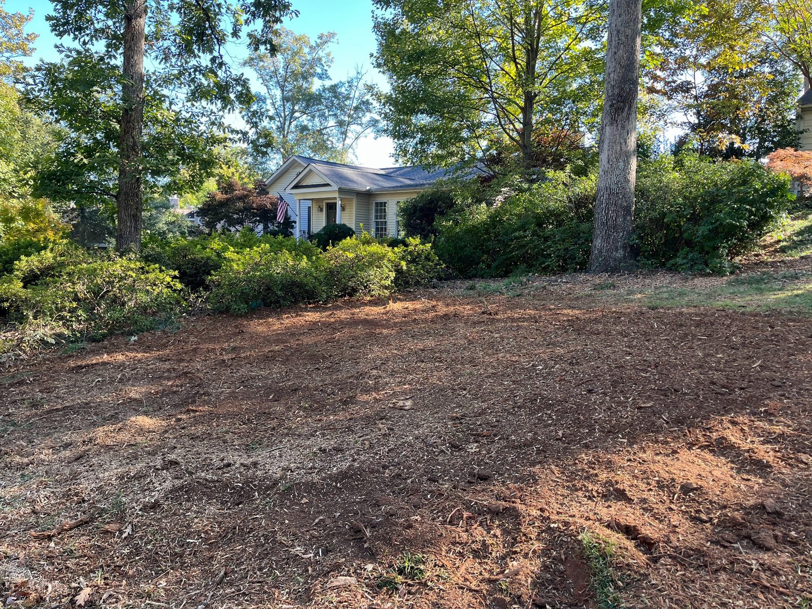 After stump grinding in Spartanburg SC