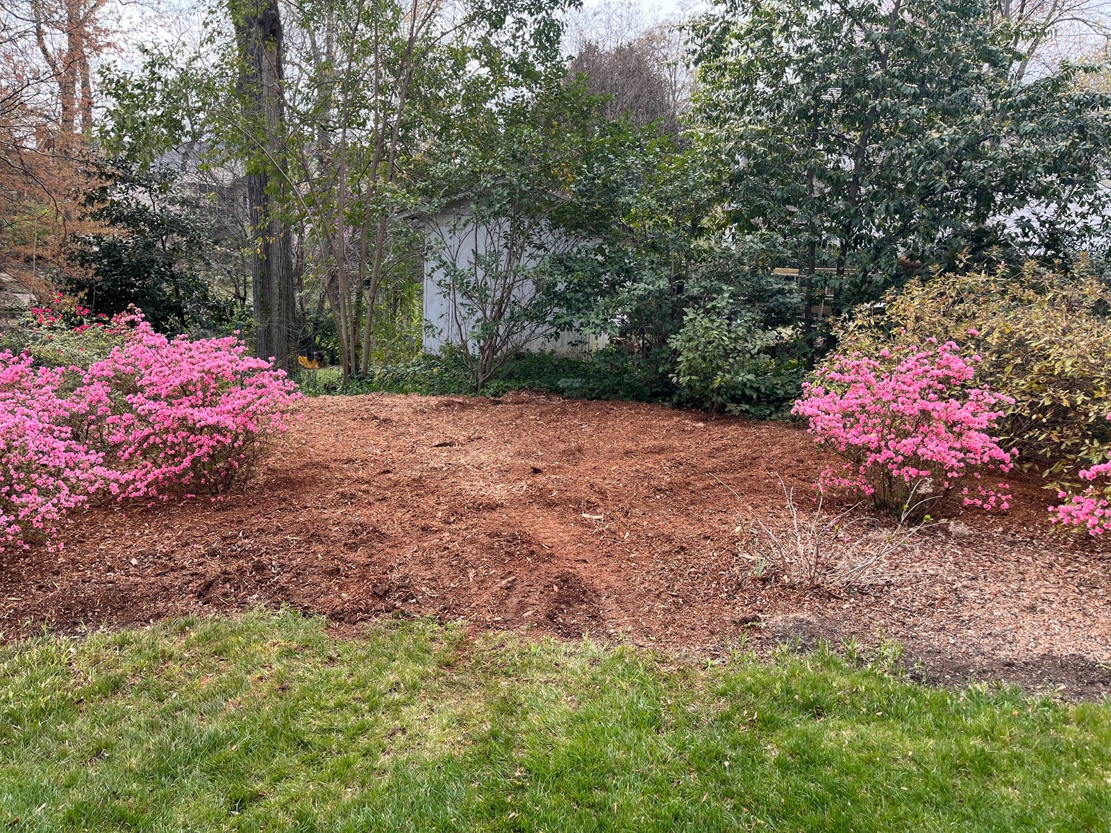After stump grinding in Taylors SC
