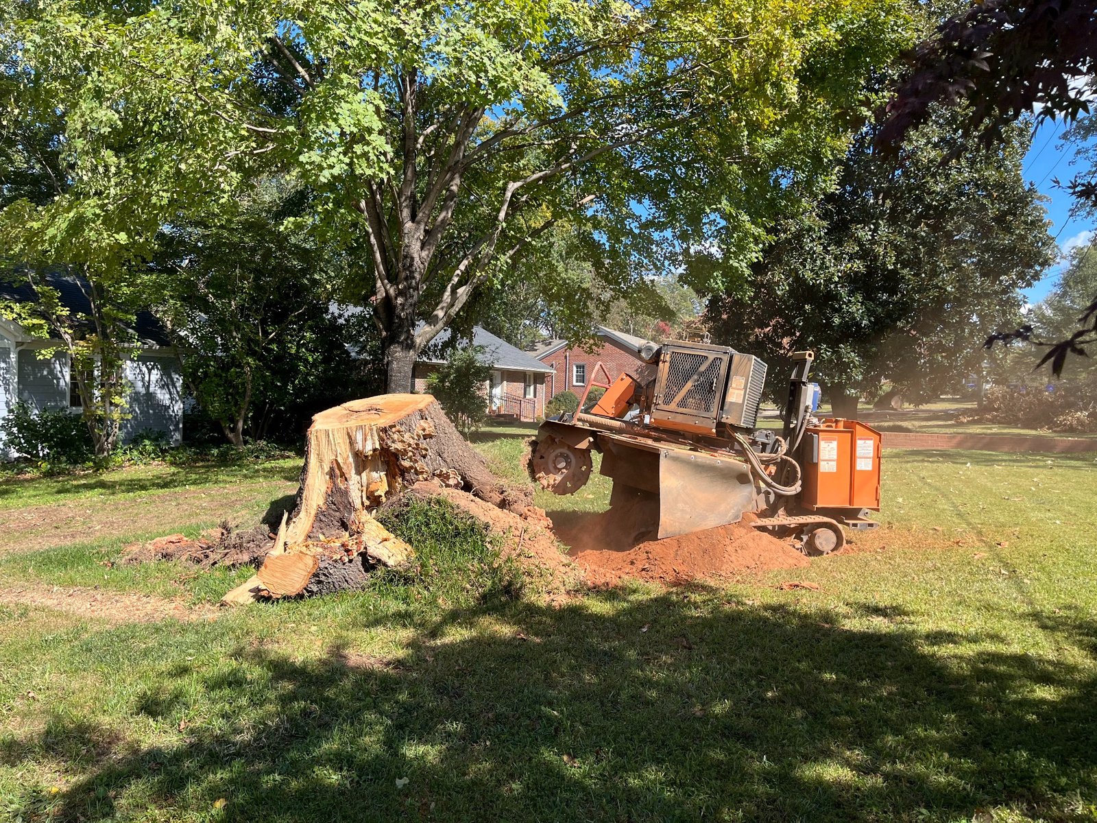 Before stump grinding in Wellford SC